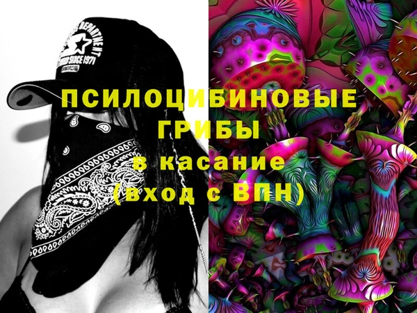 прущая мука Бородино