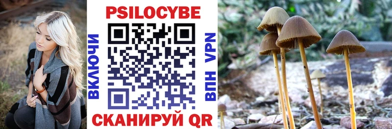 где купить   Духовщина  Псилоцибиновые грибы Magic Shrooms 
